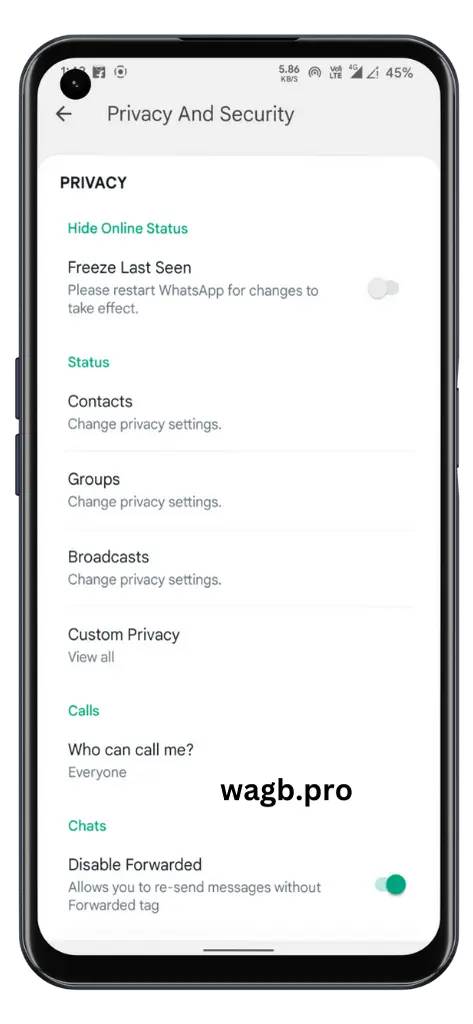 GBWhatsApp Pro Privacy and Security